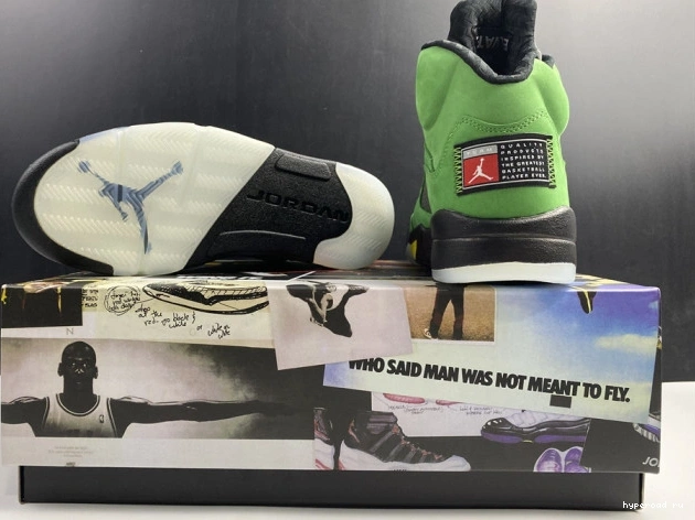 Oregon 5 SE CK6631-307 Air Jordan Ducks 1018